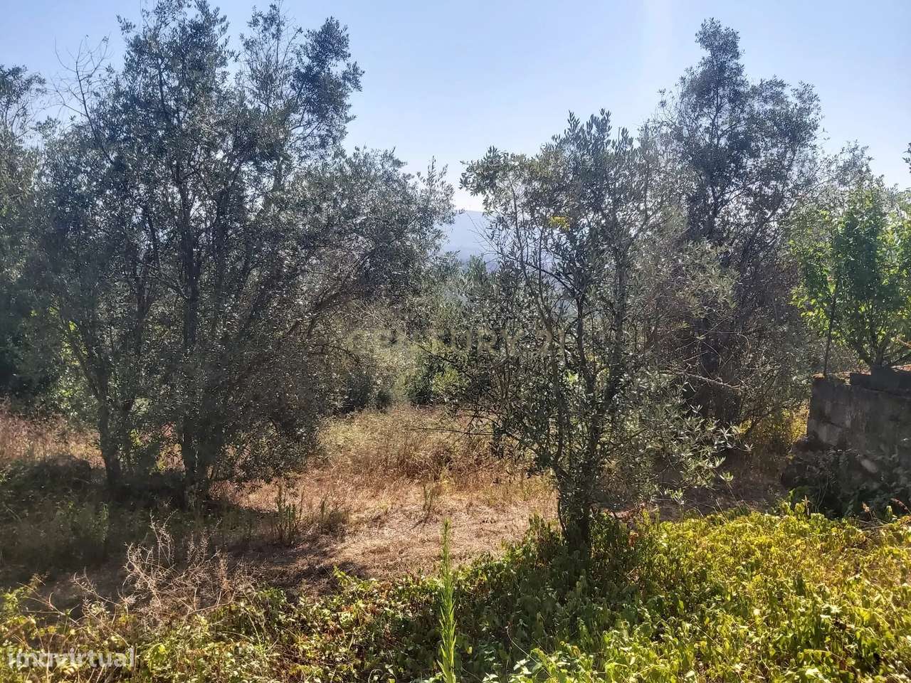 Terreno com casa em ruinas na lagoa de Santa Catarina - Grande imagem: 5/7