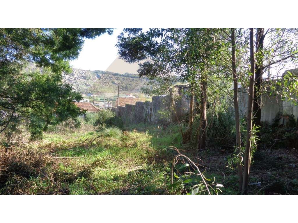 Terreno Urbano - Vila Nova de Famalicão - Grande imagem: 5/6