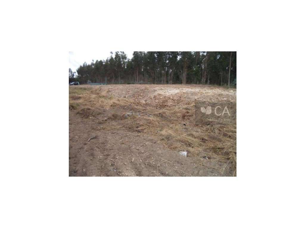 Terreno - Grande imagem: 4/5
