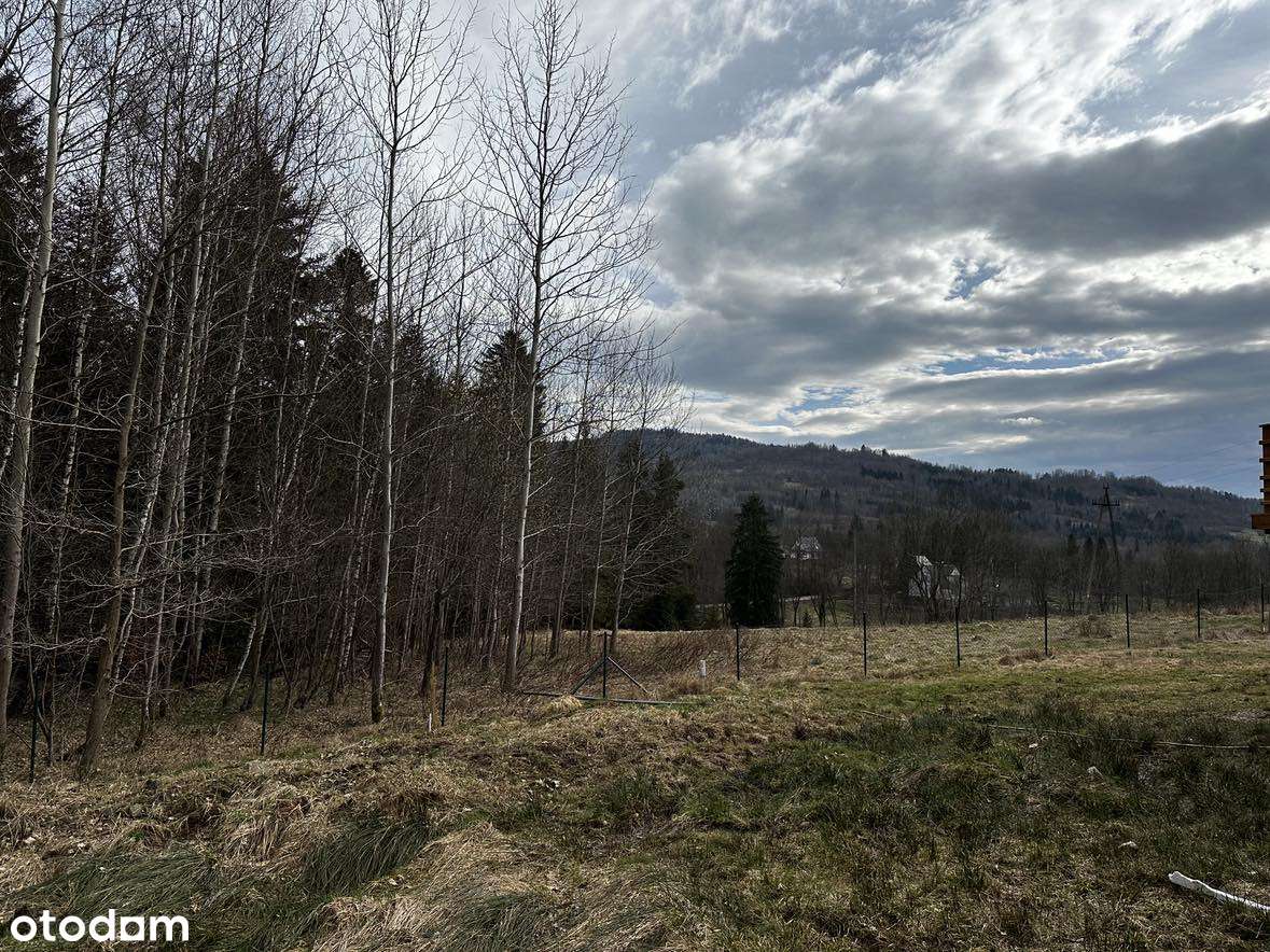 Widokowa działka pod samym lasem w górach - Pełny obrazek: 5/5
