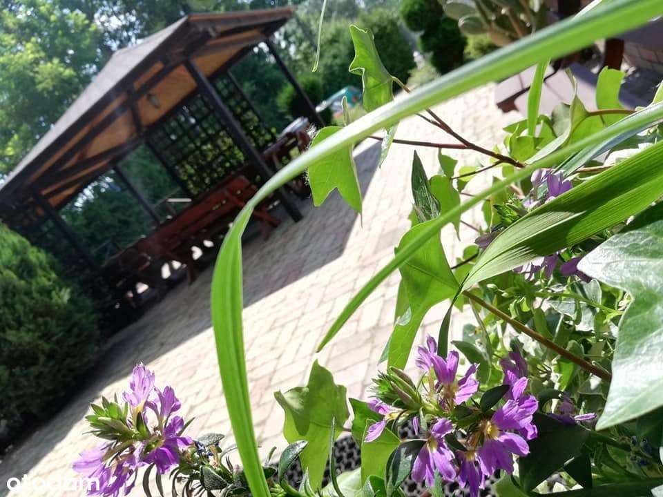 Obiekt gastronomiczno-noclegowy w Gorzowie Wlkp. - Pełny obrazek: 4/20