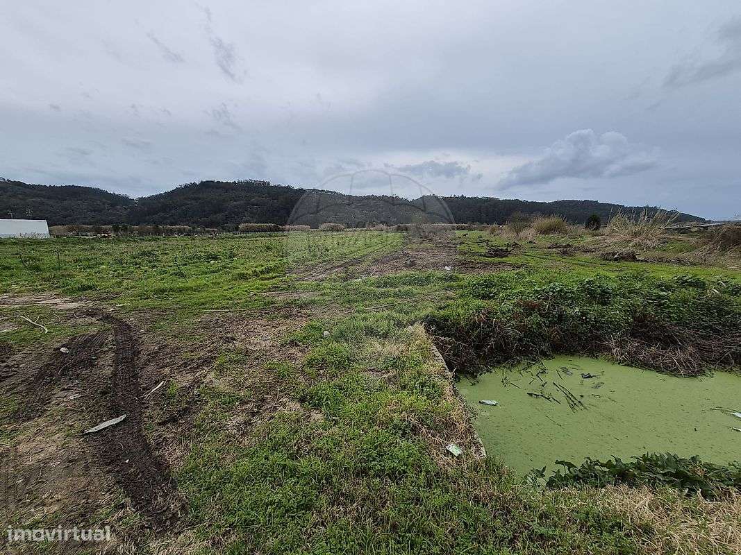 Terreno  para venda - Grande imagem: 5/5