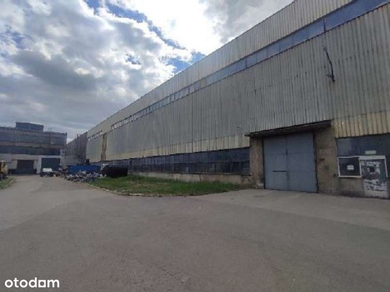 Syndyk sprzeda: działki z halą produkcyjną-3