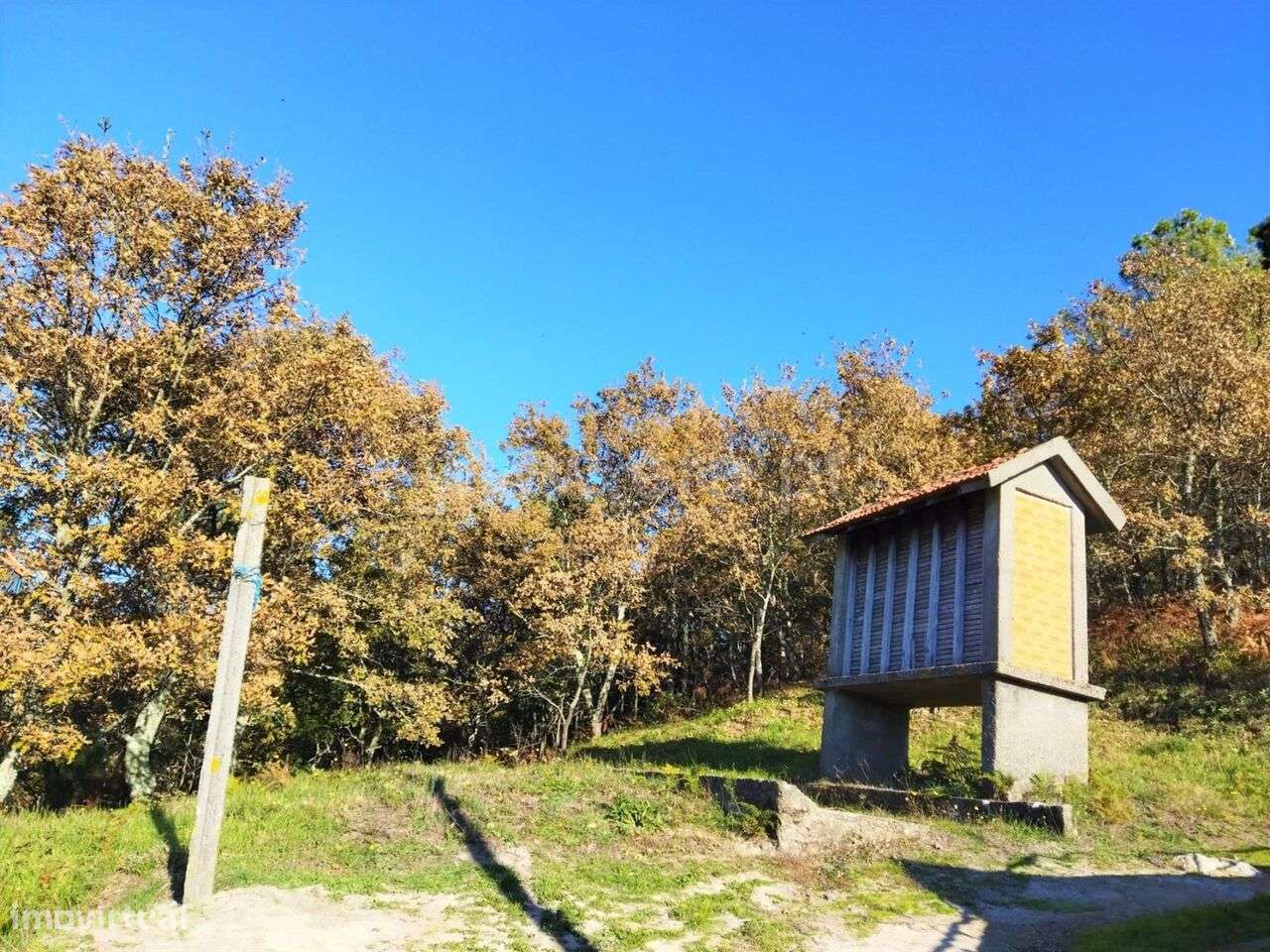 Terreno / Baião, Campelo e Ovil - Grande imagem: 3/5