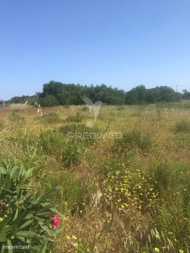 Terreno Rústico/ Urbano , 305,50m2 - Vila Nova de Mil Fontes - Grande imagem: 2/6