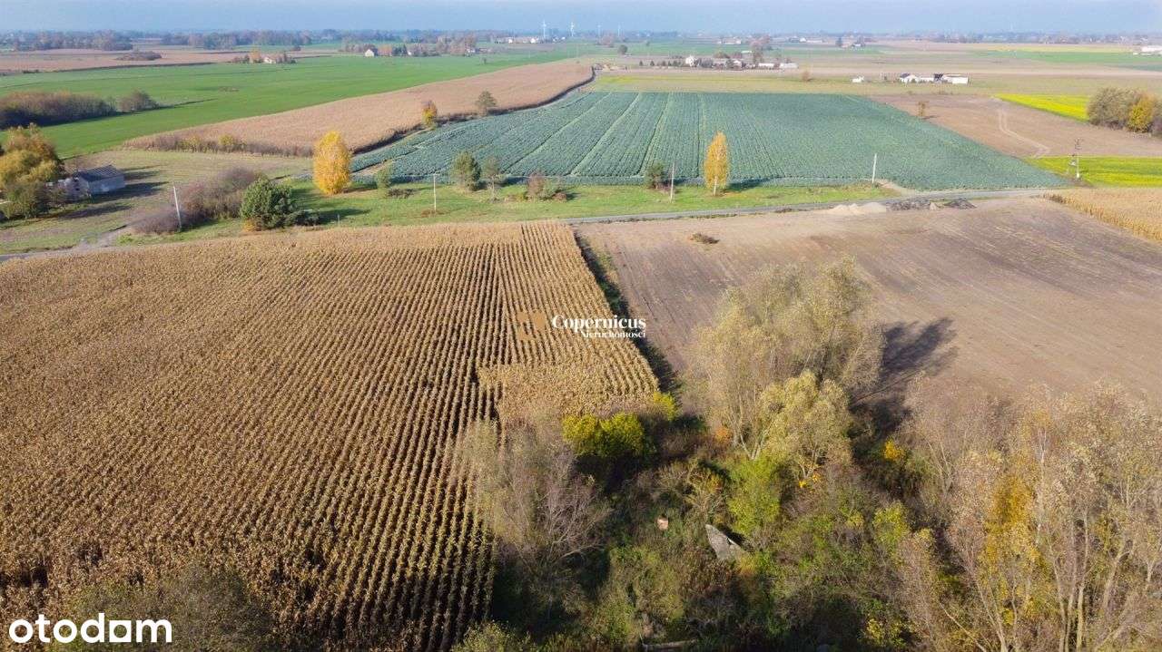 3 działki na sprzedaż z Wz,Sumin,Gm.Kikół,raty 0% - Pełny obrazek: 4/9