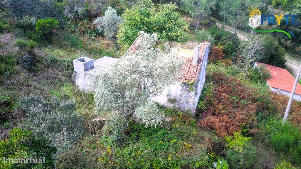 Imóvel rústico situado a poucos minutos da Vila da Sertã - Grande imagem: 4/15