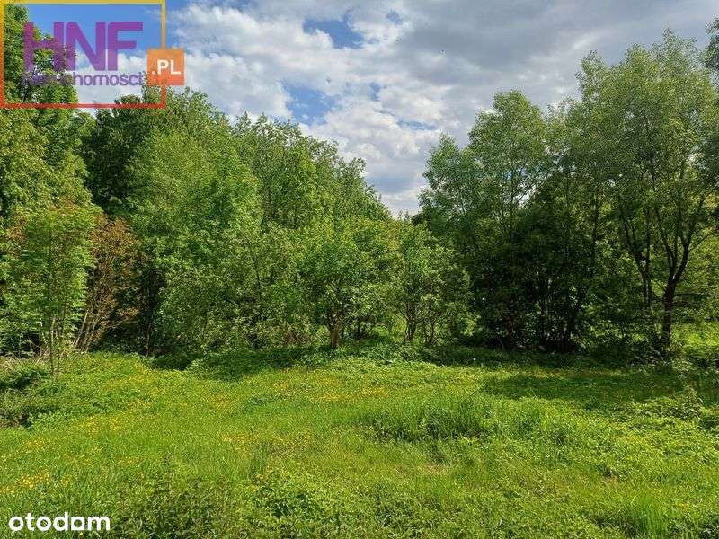 Działka 44ar z drewnianym domem Czarny Potok - Pełny obrazek: 4/19