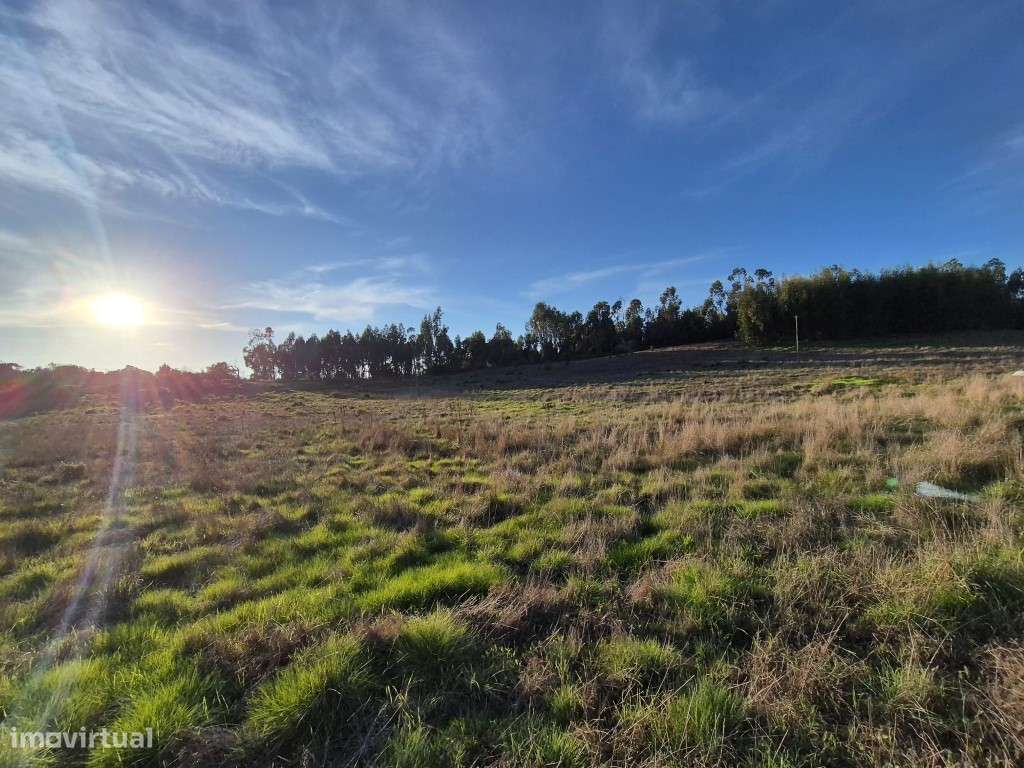 Terreno Rústico - Grande imagem: 5/16