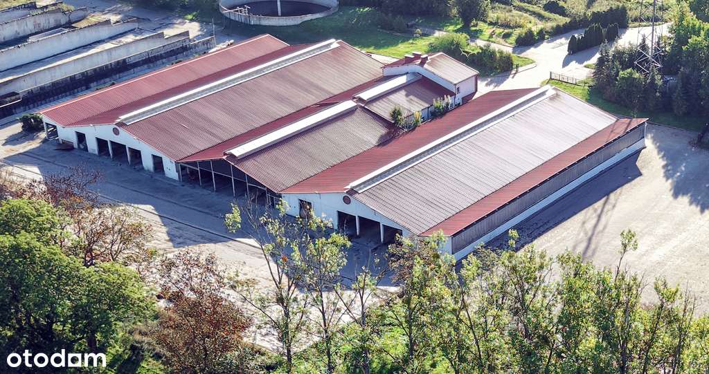 Kompleks hal w dogodnej lokalizacji - Pełny obrazek: 4/11