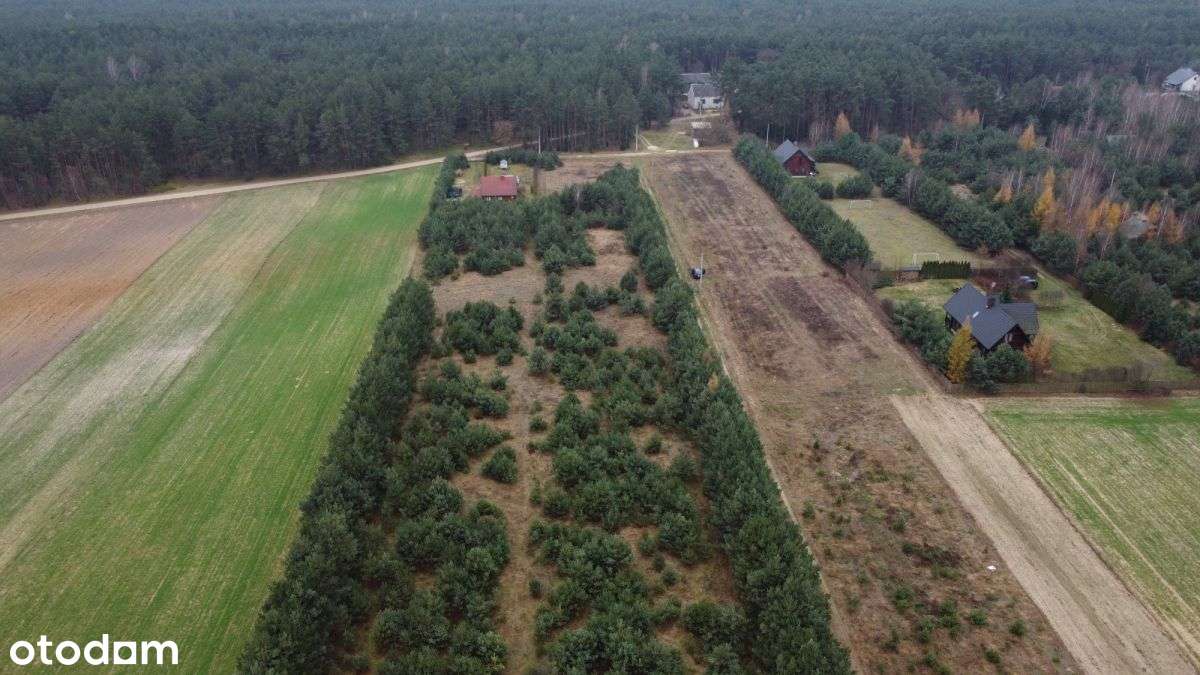 Działka budowlana z lasem-7