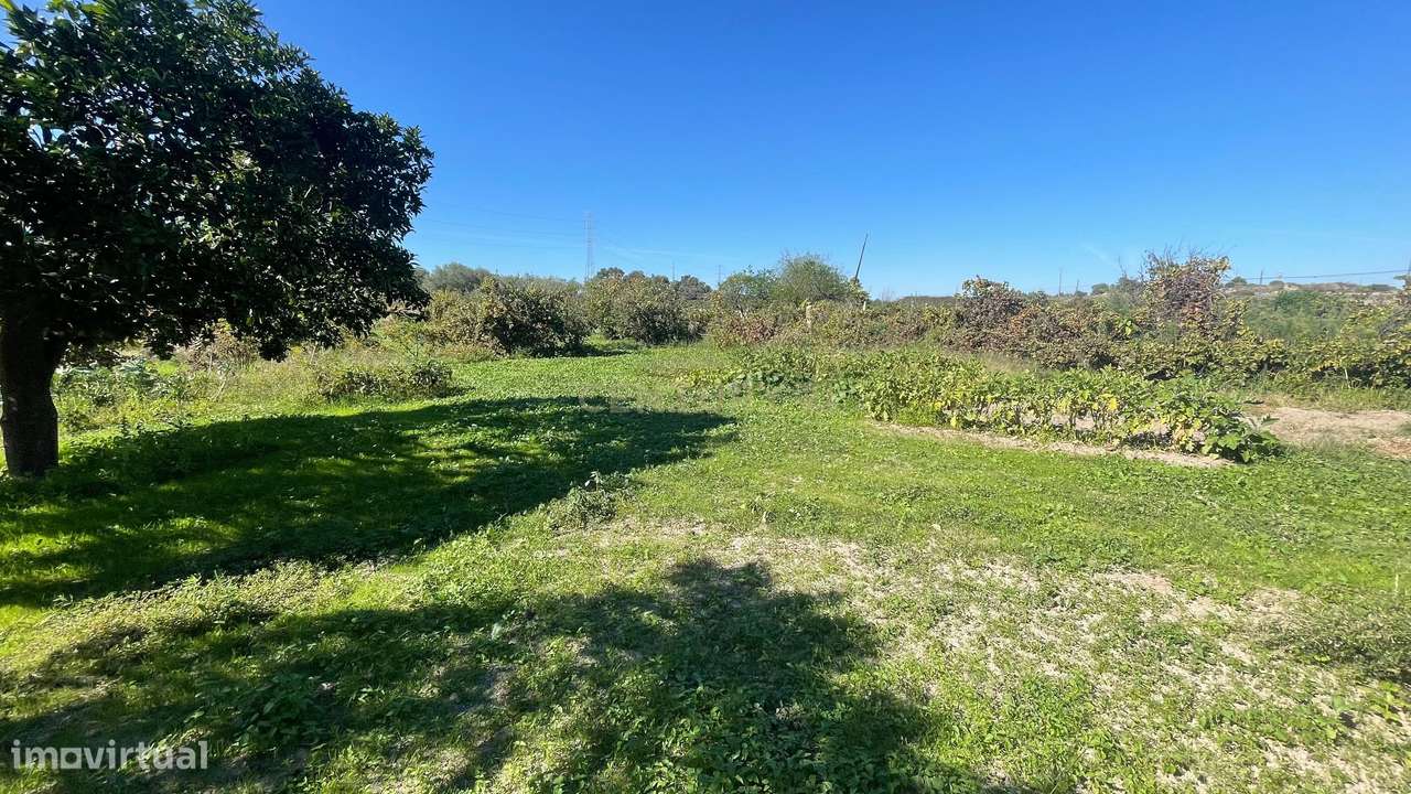 Terreno rústico | Escalos de Cima, Castelo Branco - Grande imagem: 5/20