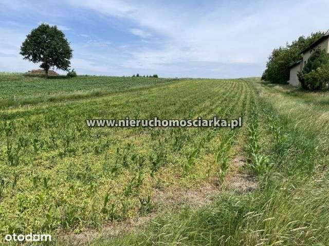 Duża działka budowlana Mszana - Pełny obrazek: 5/5