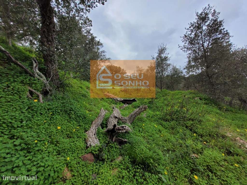 Terreno Rústico com 3.450 m²-15