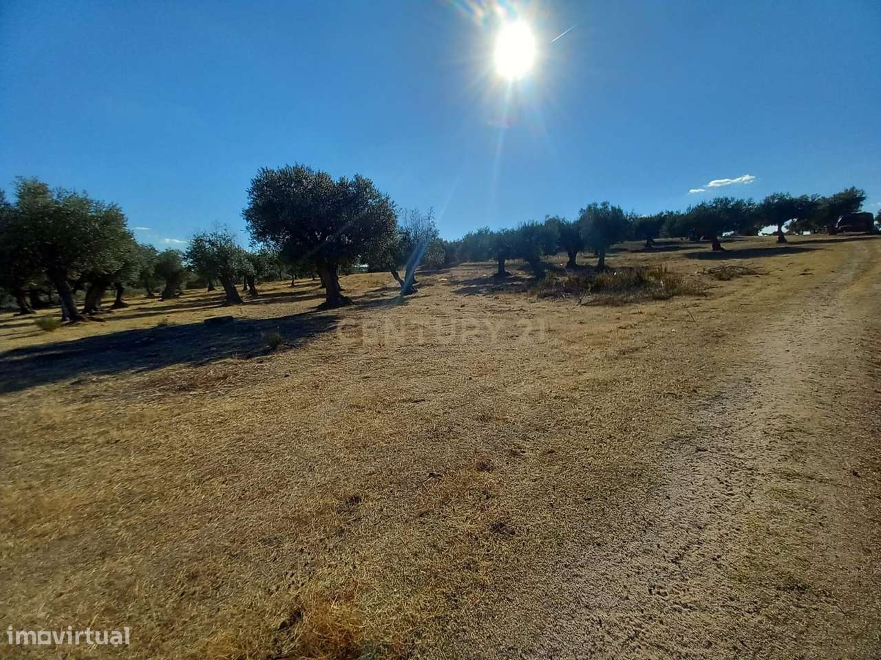Terreno com Vista Panorâmica em Lardosa, Castelo Branco - Grande imagem: 2/9