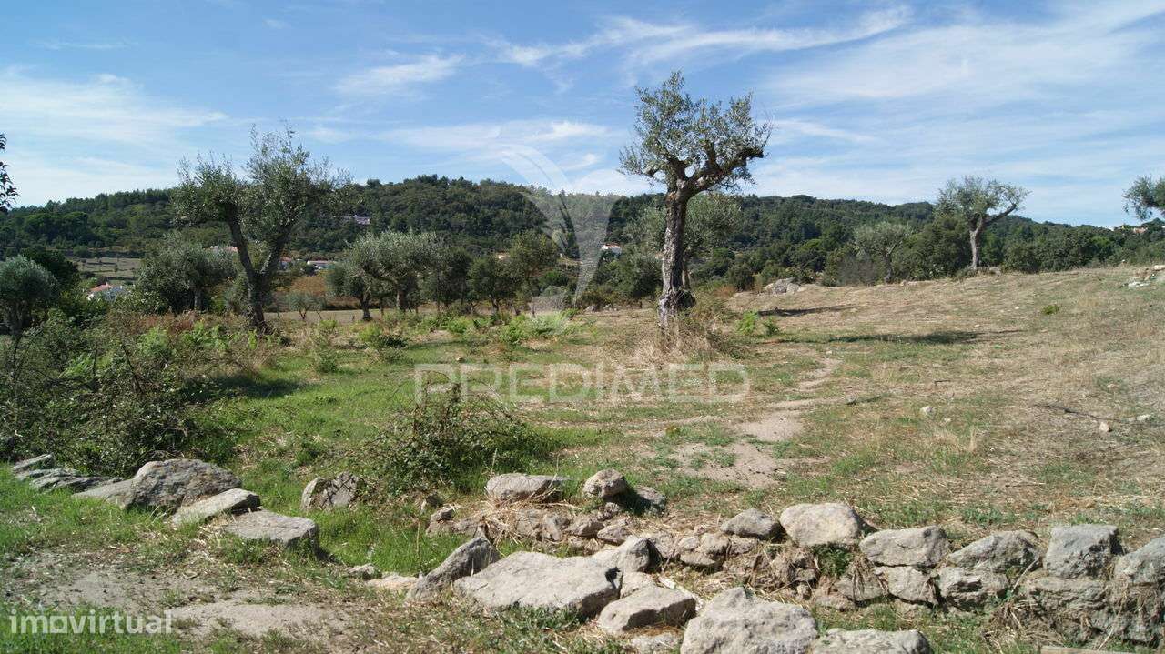 Terreno Rústico Reguengo- Portalegre - Grande imagem: 3/20