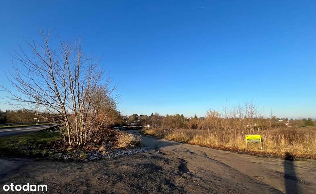 Działka, 1 550 m², Gryfino - Pełny obrazek: 3/3