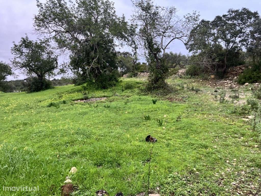Terreno Rústico em Bordeira - Grande imagem: 3/6