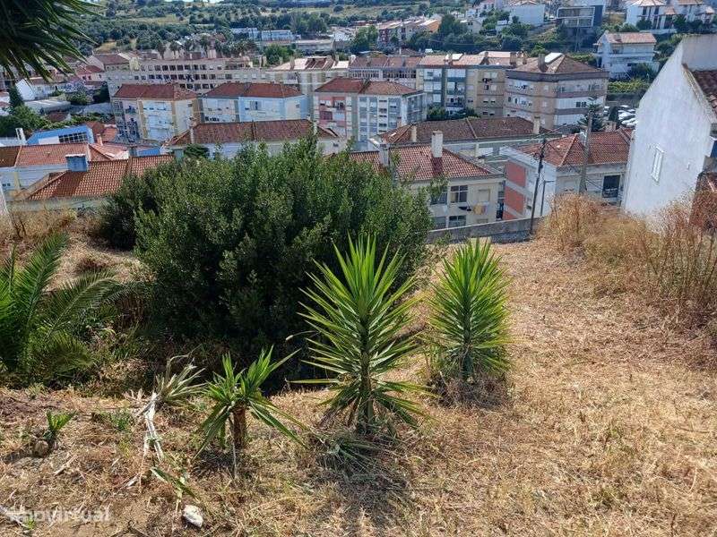 Lote de terreno para construção de vivenda - Grande imagem: 5/6