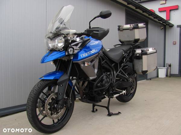 Triumph Tiger - 18