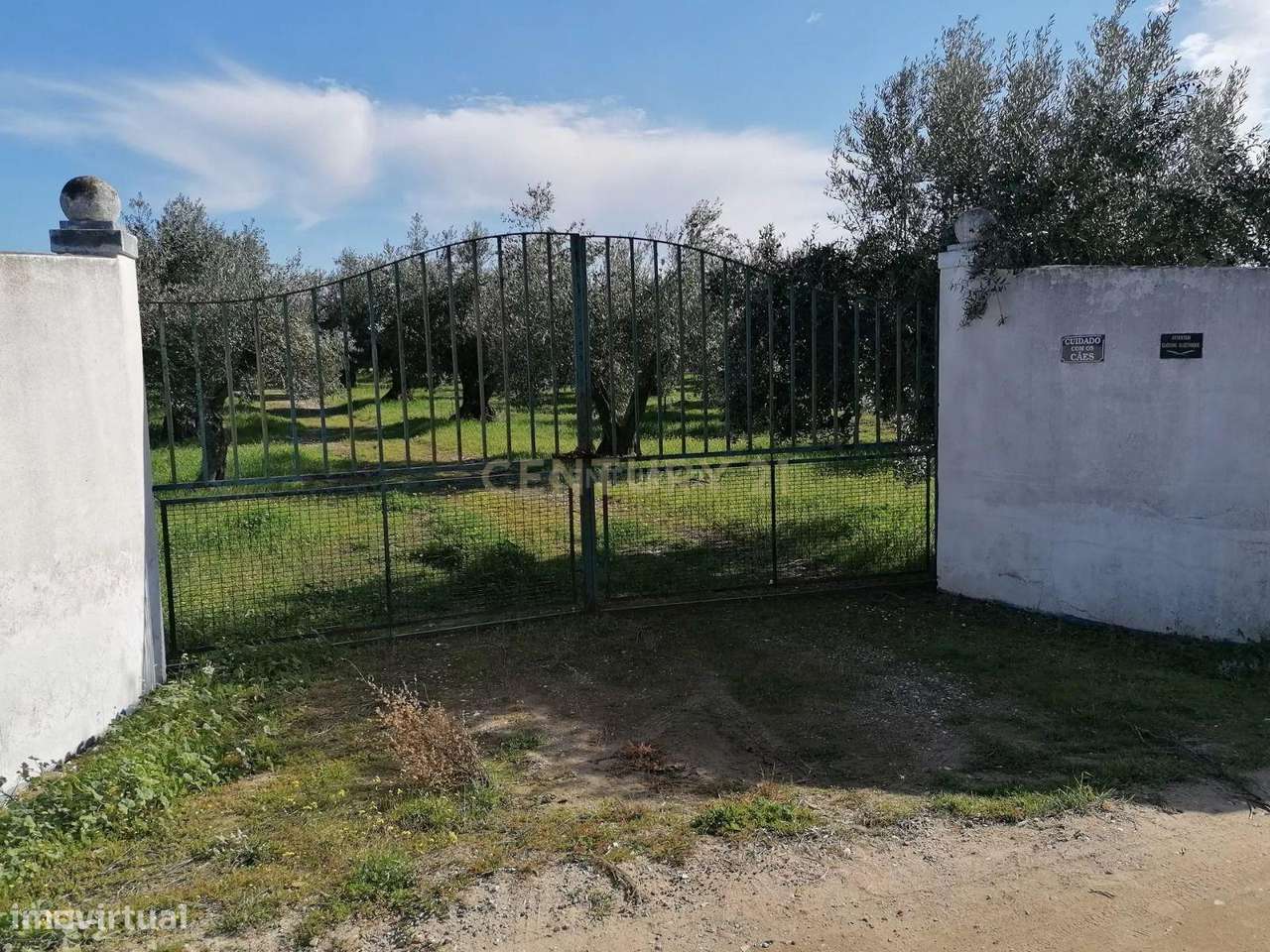 Quinta no Carapetal - Grande imagem: 2/47