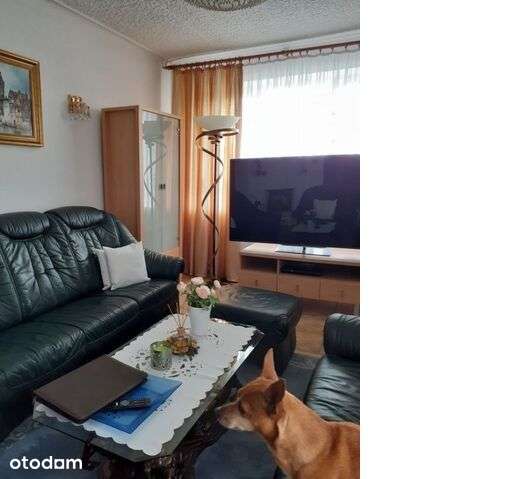 Ok. Wilgi działka 2400 dom 110-7