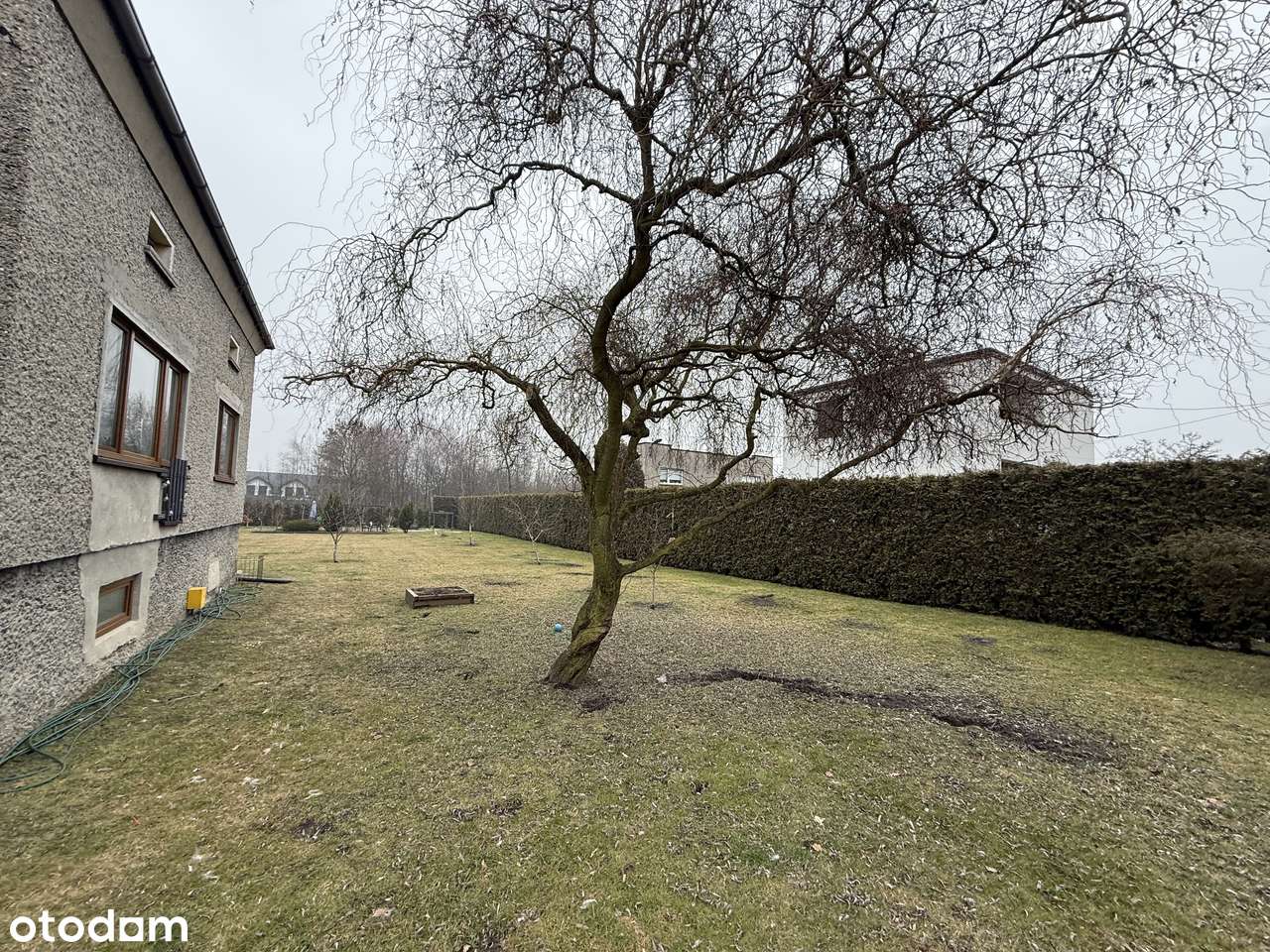 Dom z potencjałem! HALEMBA-19