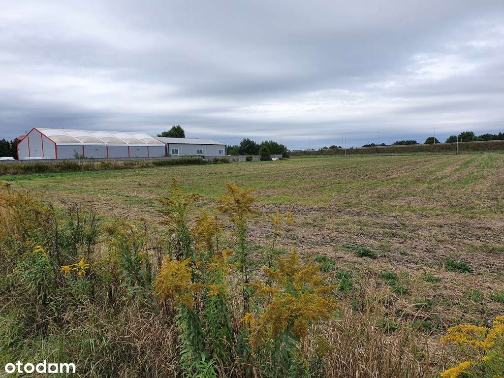 Działka budowlano-usługowa Wrocław Strachowice-4