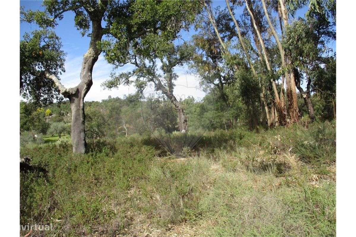 Quinta T0 para venda - Grande imagem: 5/35