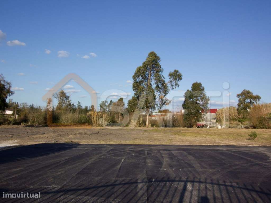 Terreno Rústico - Grande imagem: 4/12