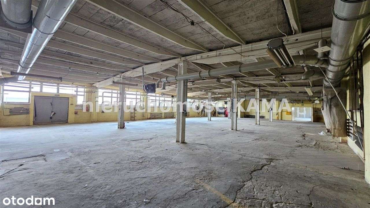 Hala/Magazyn, 216 m², Łodygowice - Pełny obrazek: 4/6