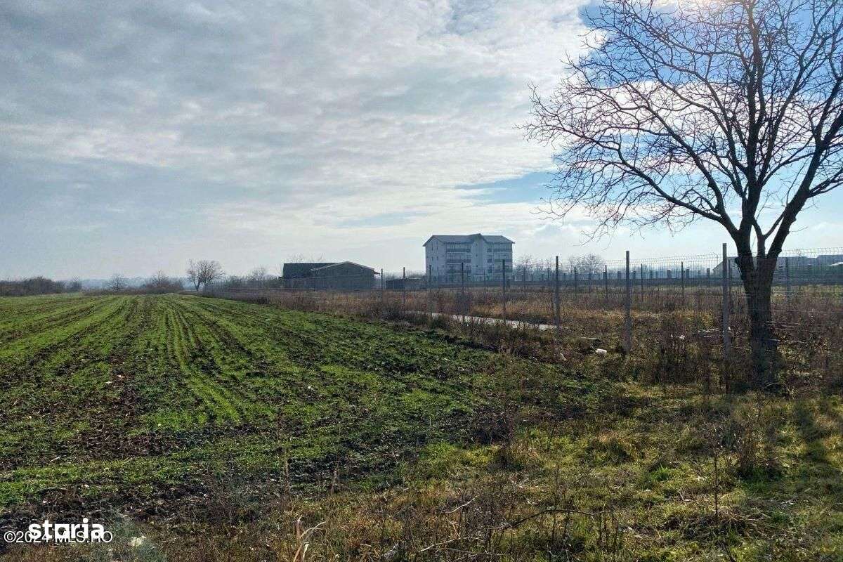 Afumati - Str. Iasomiei, 2409 MP, stradal, intravilan, deschidere 12 m - Imagine principală: 4/19