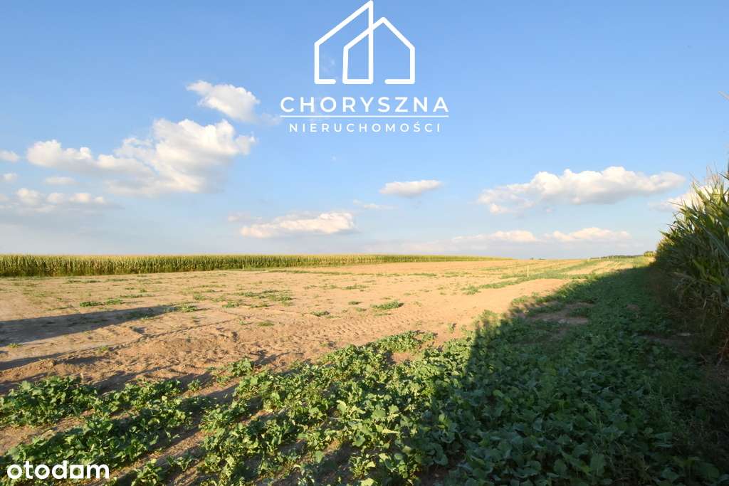 Działka budowlana w Namysłowie - "Stare Miasto"-4