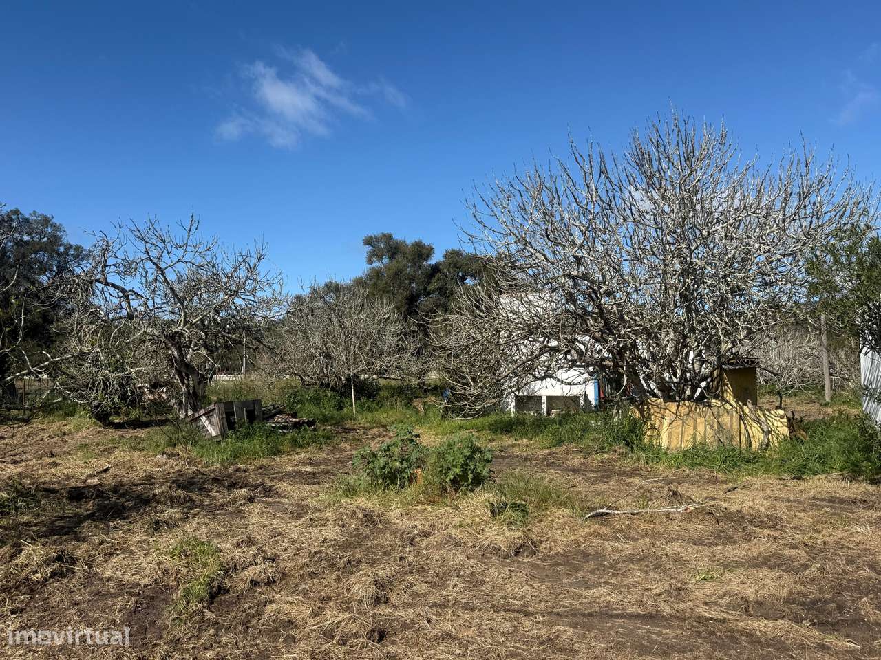 Terreno Exclusivo junto à Lagoa de Santo André – Oportunidade Única na-6