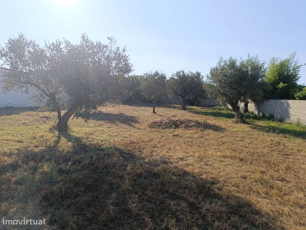 Terreno  Venda em Abrantes (São Vicente e São João) e Alferrarede,Abra - Grande imagem: 4/12