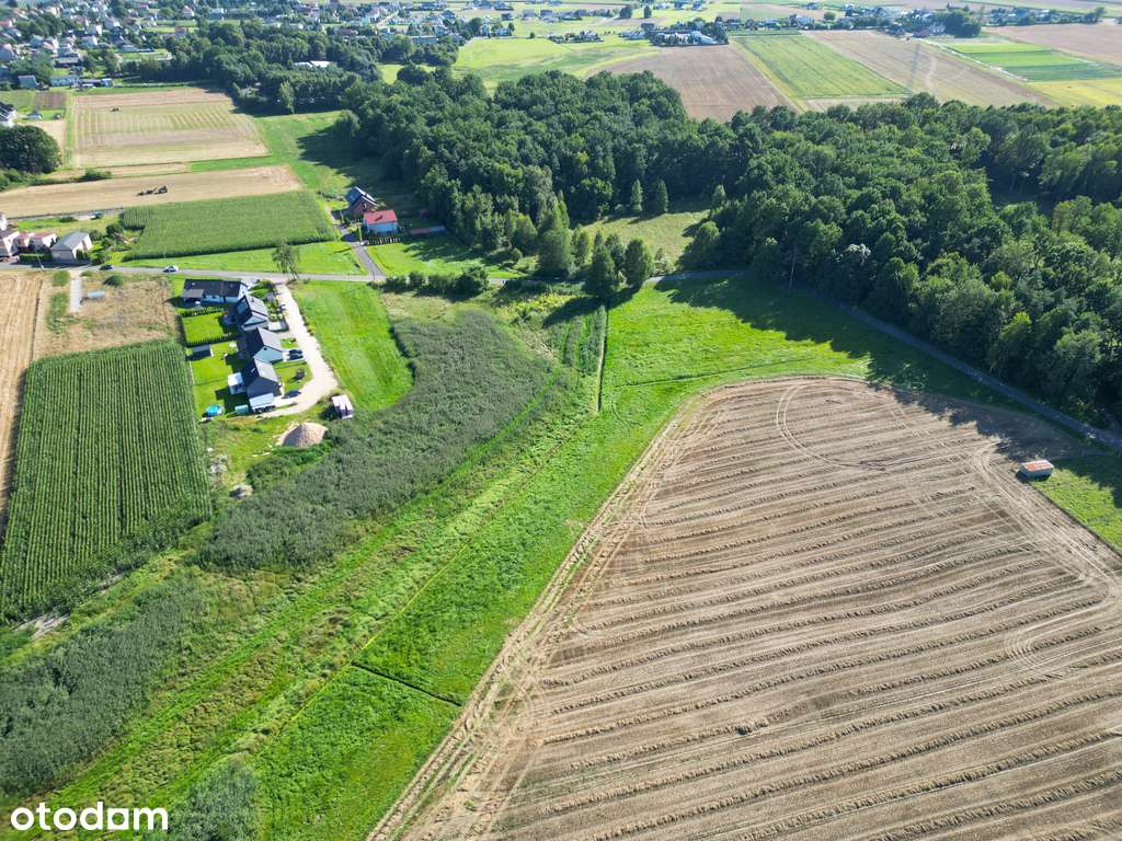 Pasieki, las, media i asfalt - idealne !-5