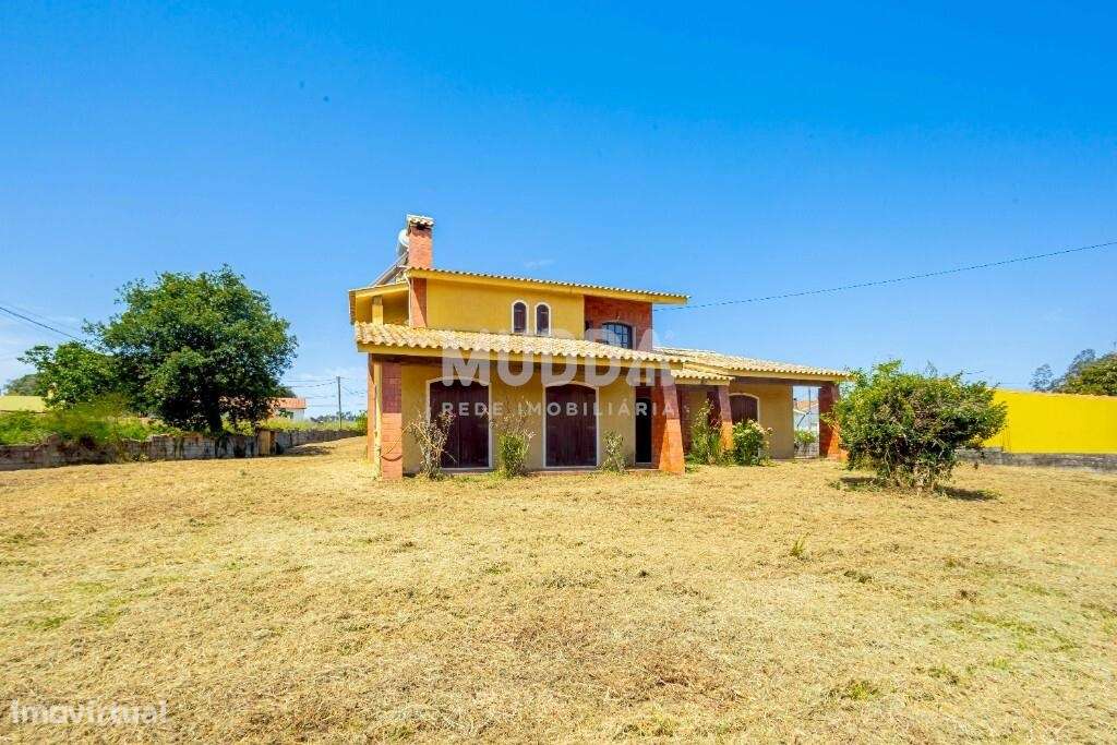 Oportunidade em Azurva – Moradia Isolada com Grande Terreno!-32