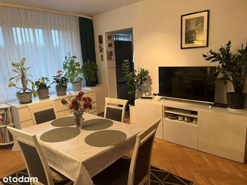 Mieszkanie, 35 m², Poznań - Pełny obrazek: 2/12