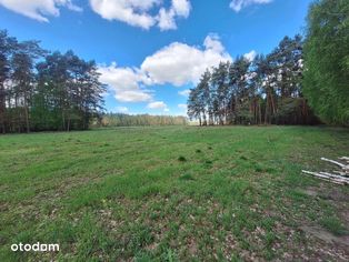 Działki budowlane z WZ Antoniew, Dalików