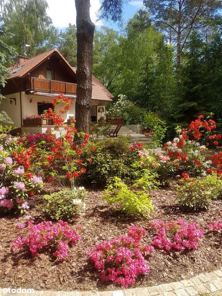 Dom jednorodzinny w Zofiówce koło Tuszyna-9