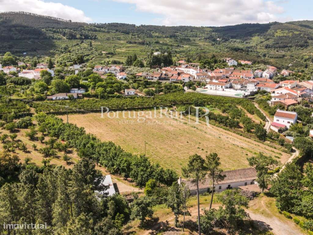Quinta de 4 ha com 3 casas e cerejeiras no Fundão, ideal para turismo-6