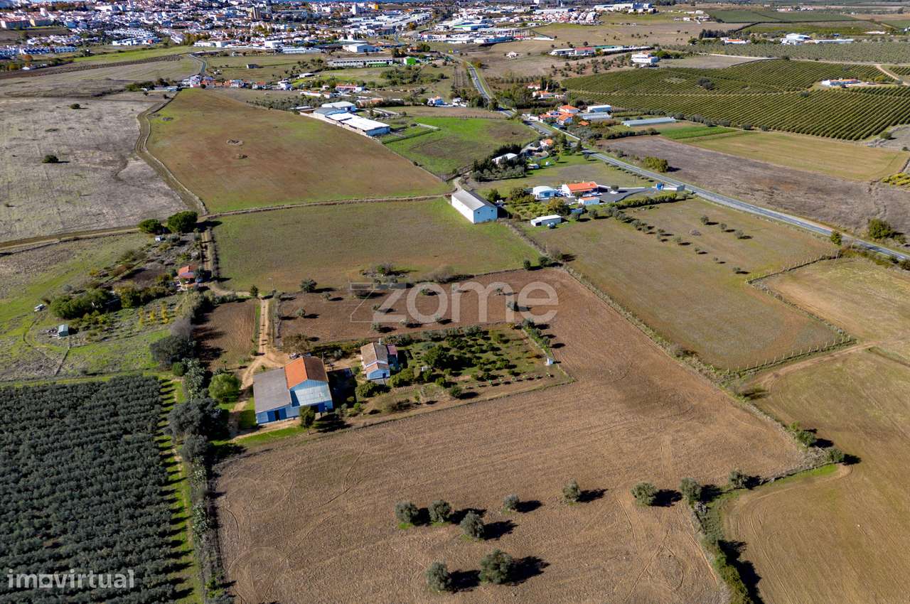 Monte do Ribeiro dos Frades com 2,5Ha - às portas da cidade - Grande imagem: 4/36