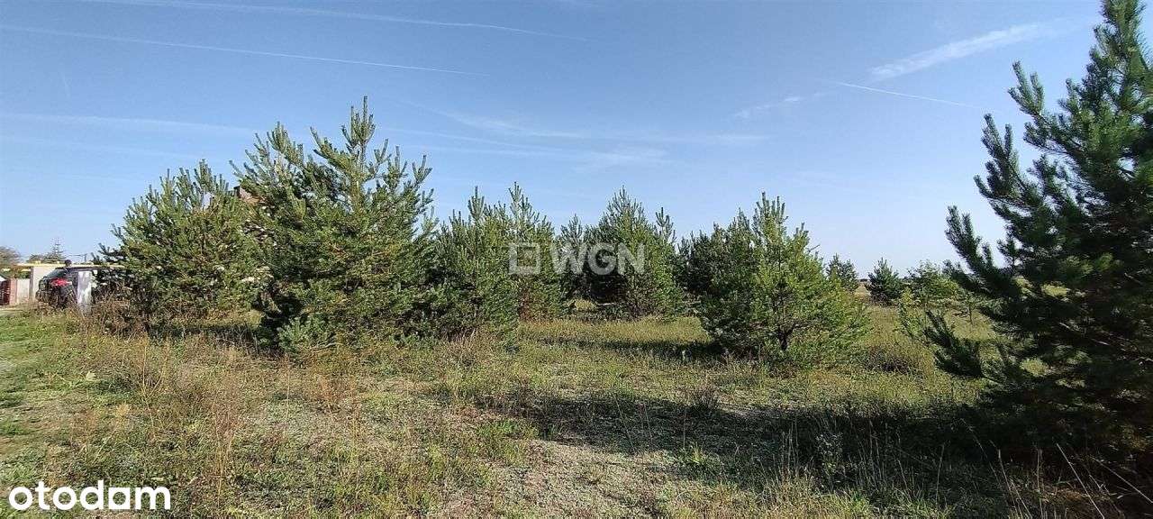 Działki budowalne w Bakałarzewie - Pełny obrazek: 5/6