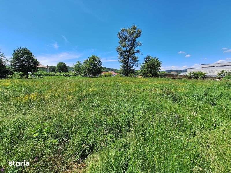 Teren central Domnesti-Arges langa targul saptamanal - Imagine principală: 5/7