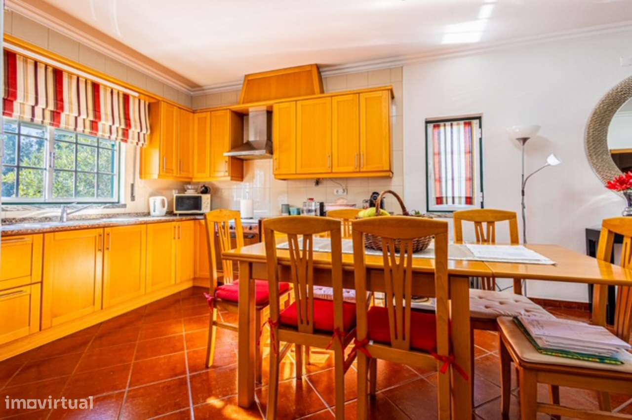 Quintinha com habitação, armazéns e terreno - Rio Maior-14