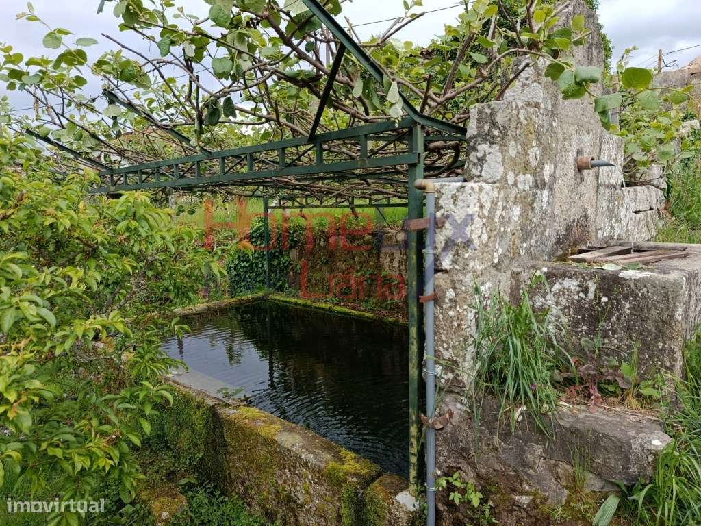 Quinta com Projeto para Turismo Rural em São Pedro do Sul-58