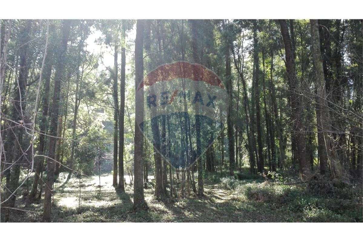 Terreno T0 para venda - Grande imagem: 5/6