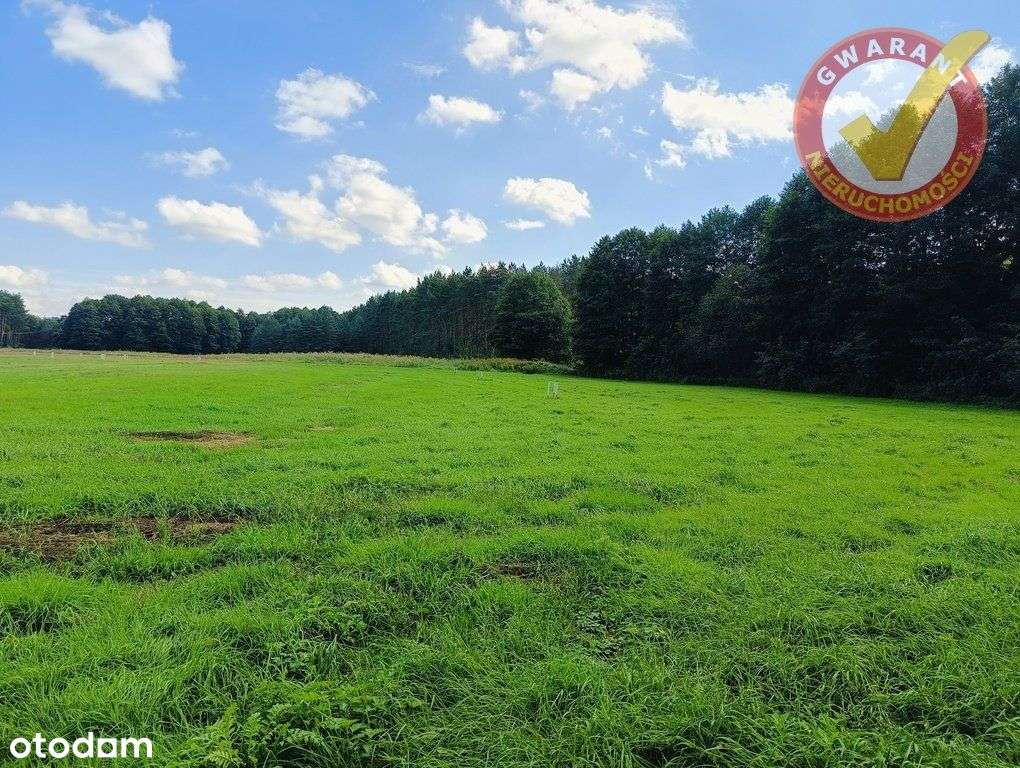 Malownicza Działka Przy Lesie Blisko Torunia !!! - Pełny obrazek: 5/5