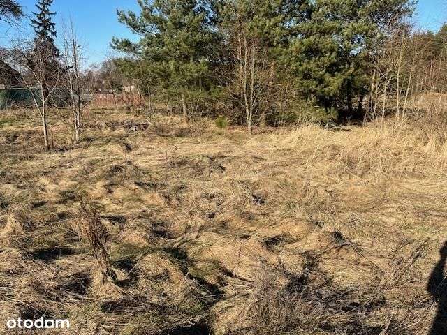 Na sprzedaż wyjątkowa działka nad jeziorem Komorze - Pełny obrazek: 5/12