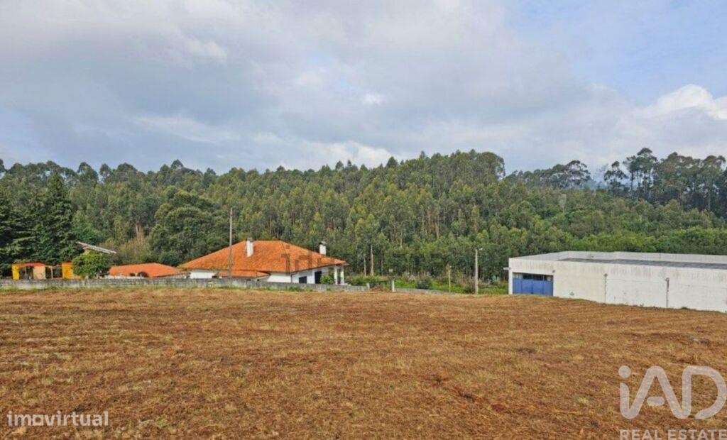 Terreno para construção em Anha de 690,00 m2 - Grande imagem: 3/30
